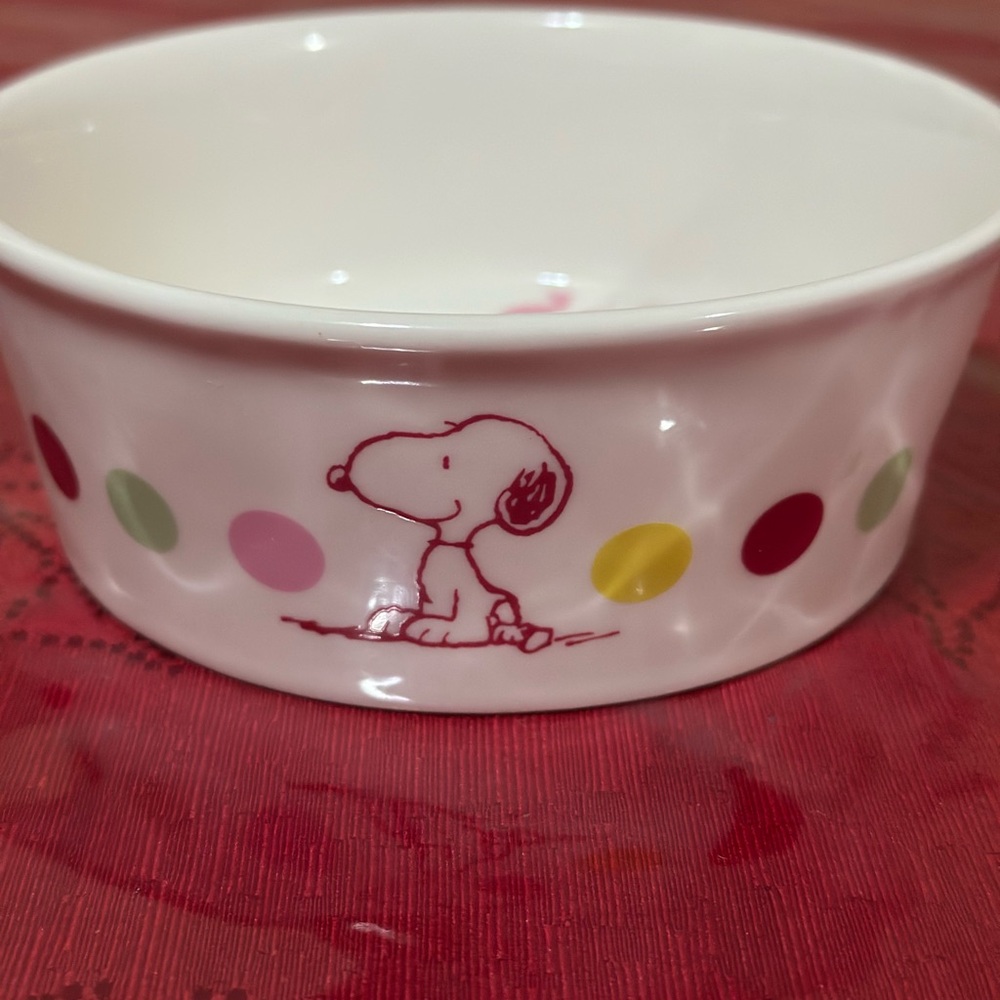 Peanuts Snoopy Pet Bowl collection - Picture 15 of 15